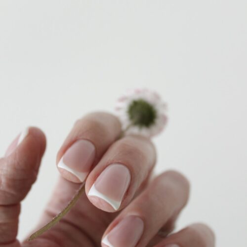 Gel Extension - Techniques Fondamentales